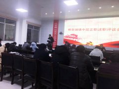 河南省镇平县柳泉铺镇人大组织开展中层正职述职评议会