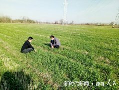安徽舒城千人桥镇：不负春光助耕忙