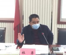 南阳市卧龙区2020年首届世界月季博览会