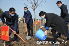  南阳市卧龙区:种树植绿段寨村