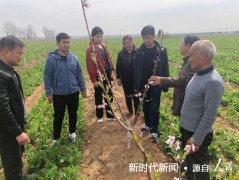 春风送暖 帮扶贴心 ——南阳市宛城区五里堡街道赴社旗