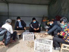  河南省镇平县高丘镇春季“双基”决战脱贫攻坚