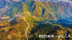 安徽南陵县何湾镇：山村道路的“变形记”