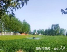 南阳市宛城区红泥湾镇：免费实施“一喷三防”，力促贫困