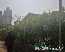 南阳市宛城区仲景街道：满园绿色关不住 游园只待与君逢