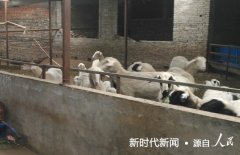精准扶贫政策好 做劳动致富新农民  ——河南省镇平县