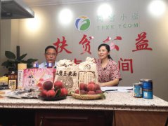    河南省镇平县：县长、乡长上直播  