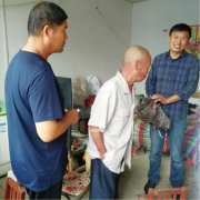 在脱贫攻坚中逆流而上---记河南省镇平县杨营镇沙家村第一书记沙博