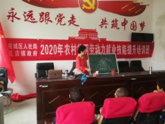 南阳市宛城区瓦店镇：开展贫困劳动力技能培训 助力脱贫增收