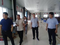 河南镇平：第一书记传帮带 狠抓党建促振兴