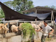 河南省唐河县苍台镇： 推动志智双扶提质增效 决战决胜脱贫攻坚