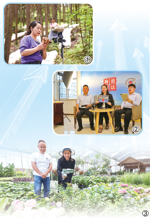 让网络直播传递更多向上向善正能量（法治头条）