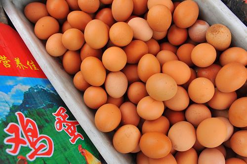 蛋价为何快速回落 去年四季度降幅近30%