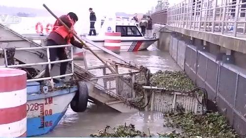 江浙沪联合签署生态保护合作协议 推动长三角地区一体化高质量发展