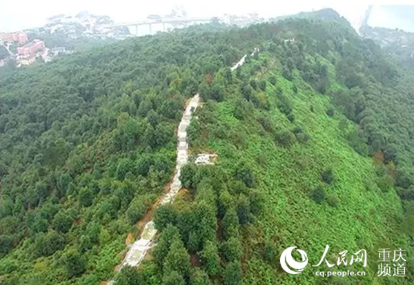重庆将生态修复纳入认罪认罚从宽让荒地变森林