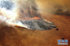 国际观察：林火肆虐数月 澳政府应对不力挨批