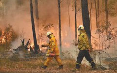 澳大利亚林火持续数月 救灾机制面临大火蔓延考验