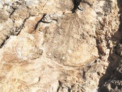 画在岩石上的狰狞面孔 表达了人类祖先怎样