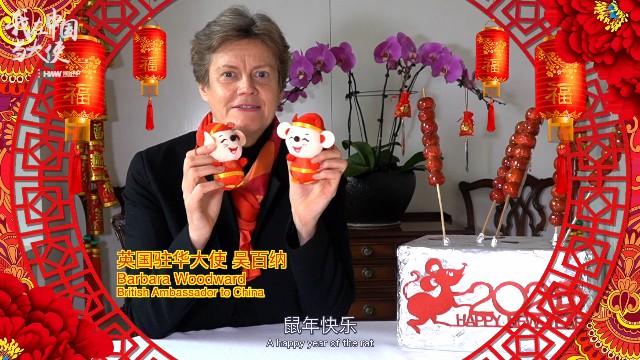 春节长[00_00_20][20200123-132330].jpg