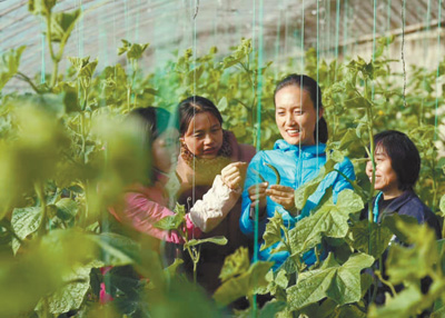 越来越多的青年人走向田野探寻土地和植物的秘密