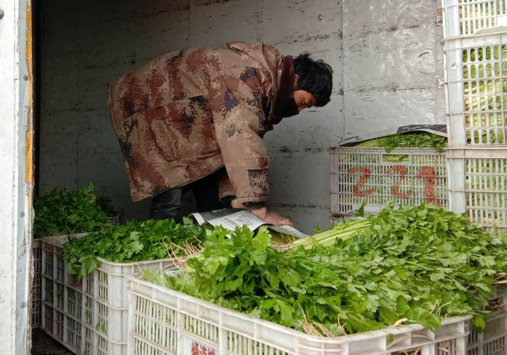 北京新发地市场超八成商户复工蔬菜供应充足