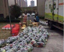 武汉市蔡甸区农业农村局落实应急服务措施 保障蔬菜供应