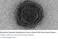 巴西发现神秘的“雅拉病毒” 90%基因从