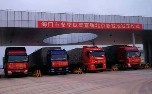 海南滞销400吨蔬菜已运到北京新发地市场