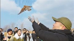 强化法律责任保护野生动物（法治头条）