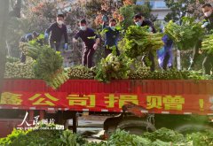 四川省百余吨爱心蔬菜水果到武汉志愿者突击抢运到社区