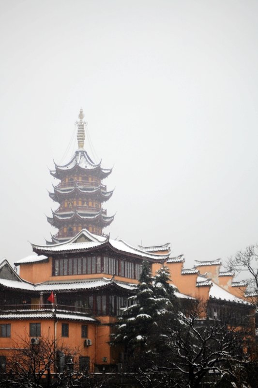 沾衣不湿樱花雨，在“南朝四百八十寺”之首云赏花