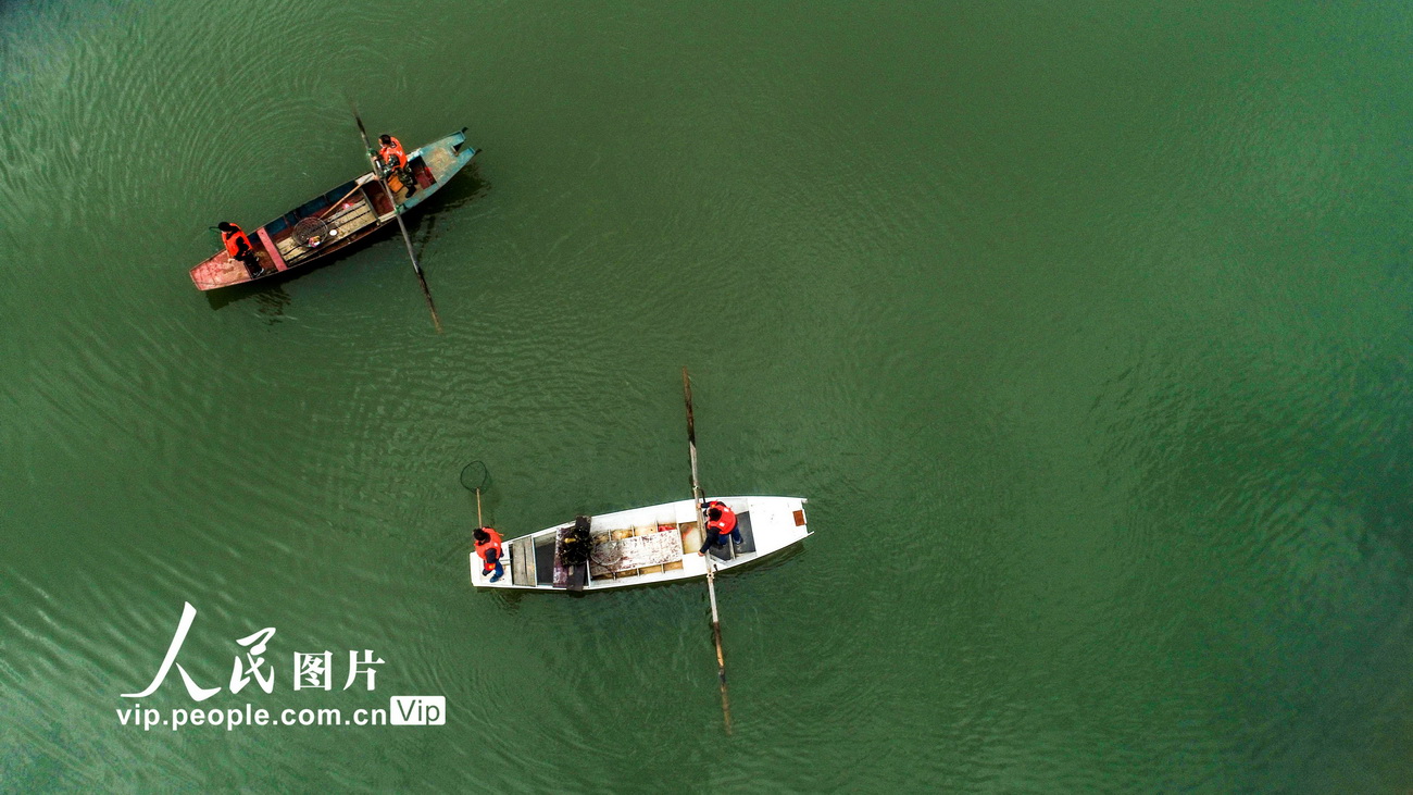 2020年2月25日，江西省吉安市峡江县巴邱镇河道保洁员在玉峡湖库区清理河面上的漂浮物。