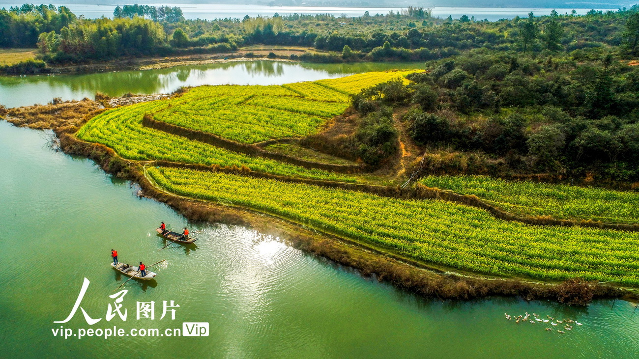 2020年2月25日，江西省吉安市峡江县巴邱镇河道保洁员在玉峡湖库区清理河面上的漂浮物。