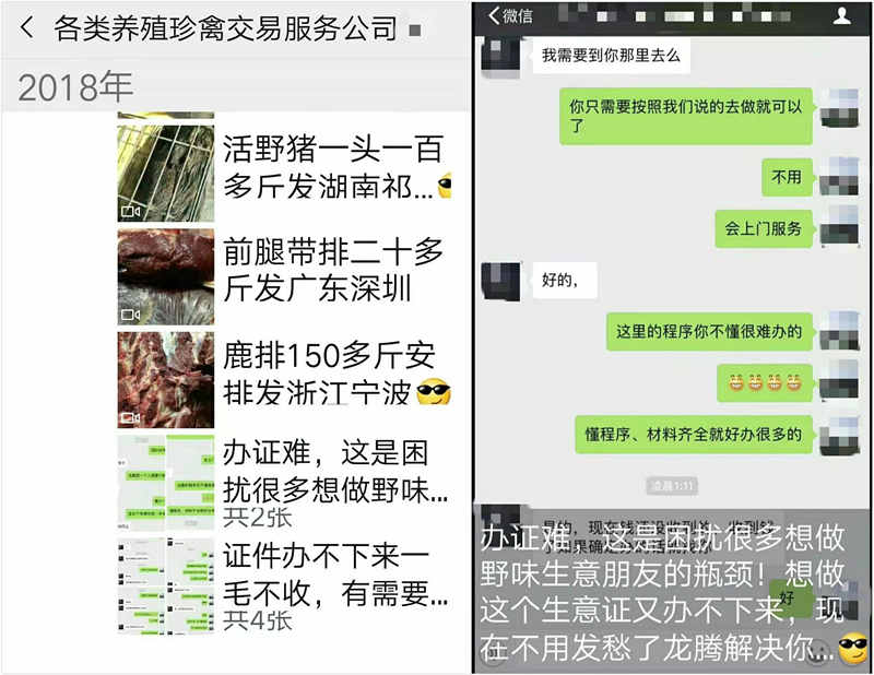 野味猎人讲述内幕：一天捕猎几十只，野生动物越来越少