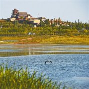 荒漠中“长”出湿地（小康路上·绿色力量）