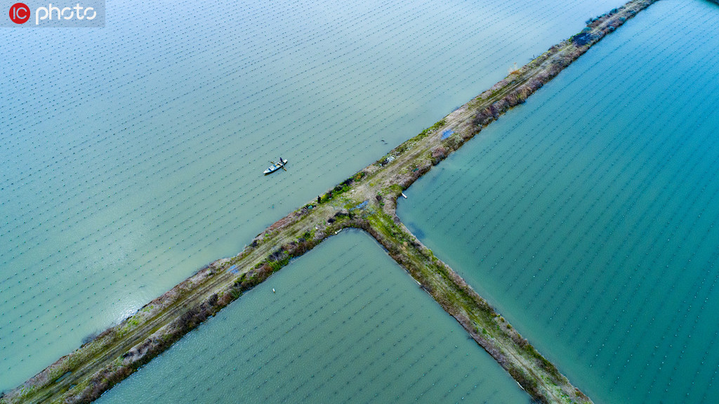 航拍300余亩珍珠贝孵化基地 景色秀丽风光如画