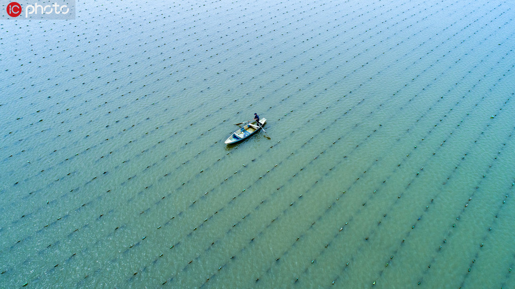 航拍300余亩珍珠贝孵化基地 景色秀丽风光如画【3】