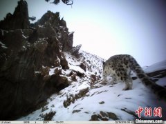国家公园示范省青海“双十条”顶格管理保护