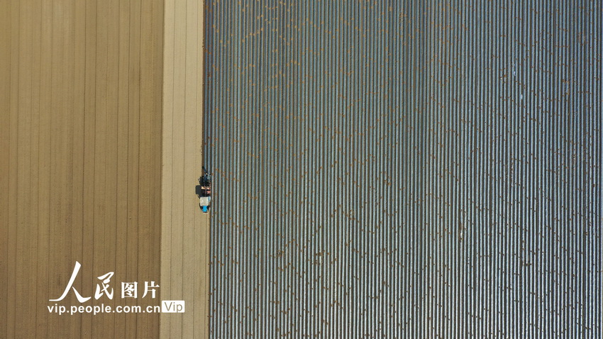 河北滦州:惊蛰到 春耕忙【2】