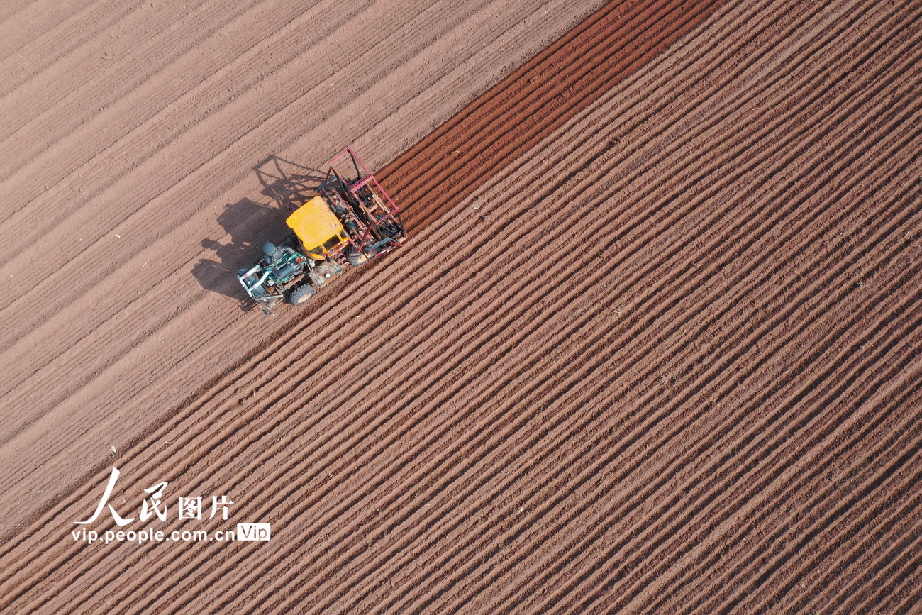 3月5日，河南省焦作市温县武德镇马冯蔺村农民在田间驾驶农机耕地准备种植山药。