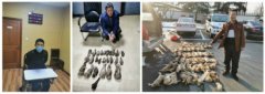 跨地区非法收购出售珍贵濒危野生动物山东青岛警方抓获8