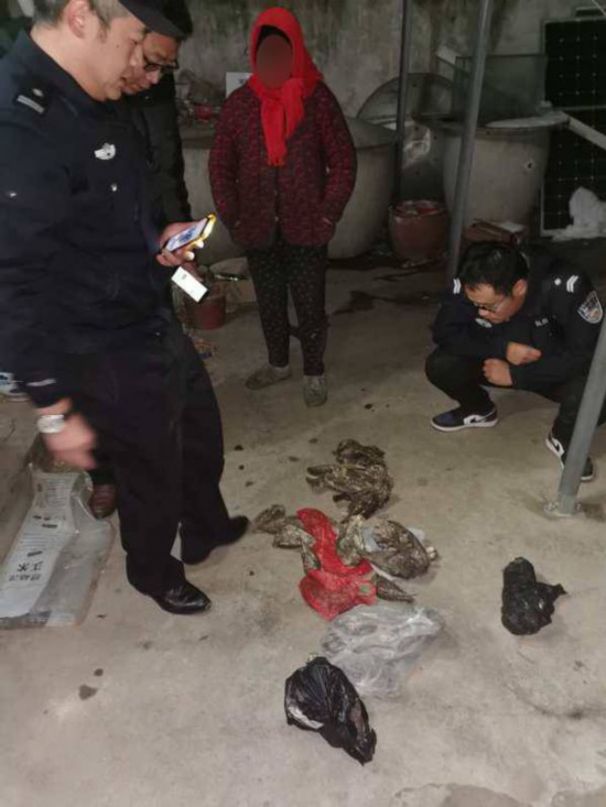 跨地区非法收购出售珍贵濒危野生动物山东青岛警方抓获8名犯罪嫌疑人