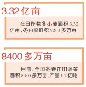 各地农业生产扫描——人勤春来早 春耕备耕