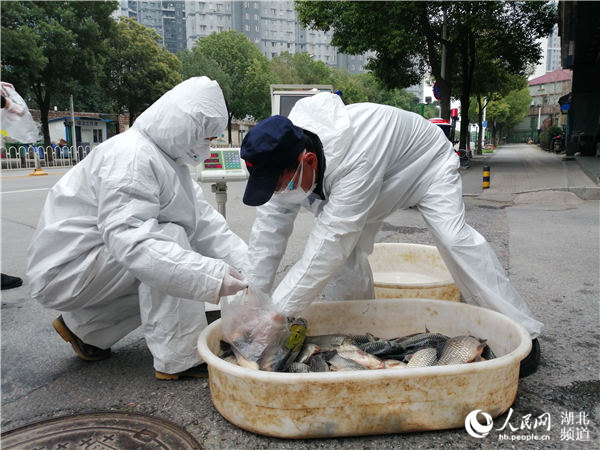 让居民吃上活鱼武汉推动鲜鱼消费进社区全覆盖