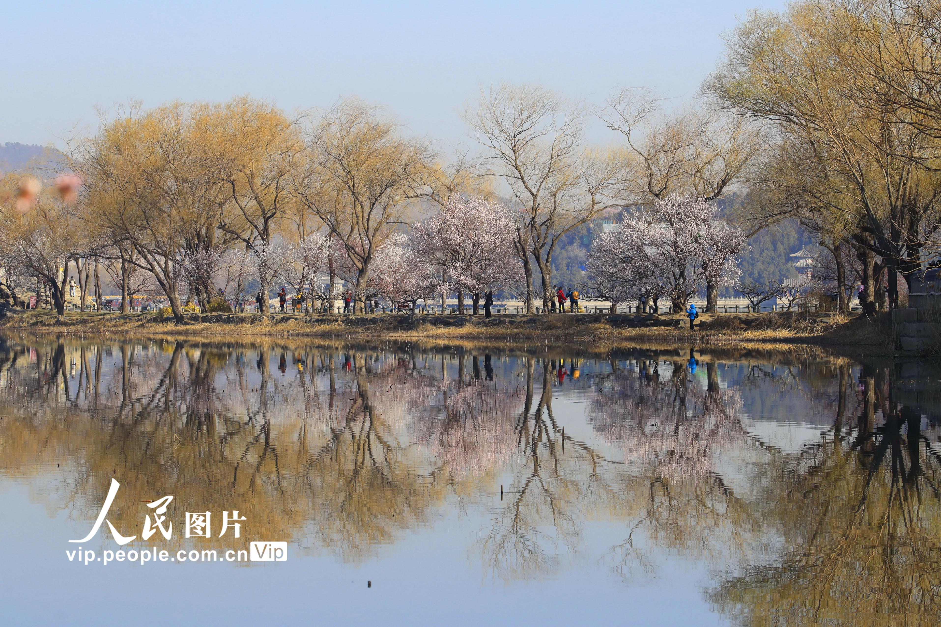 北京颐和园:桃花碧水染西堤【3】
