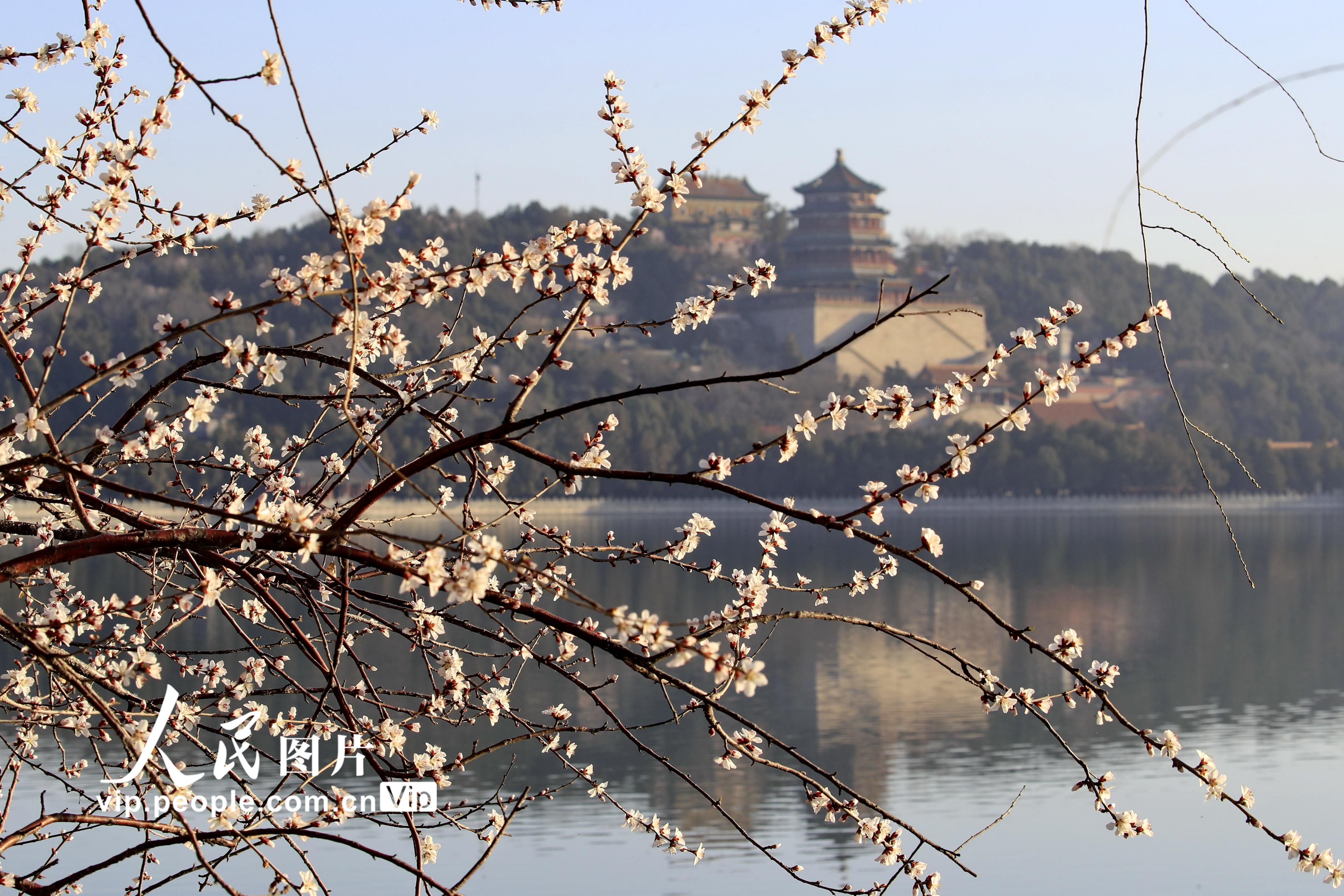 北京颐和园:桃花碧水染西堤