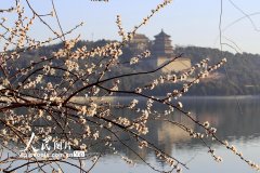 北京颐和园：桃花碧水染西堤