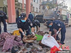 云南森警公开销毁野生动物死体及制品460.2公斤