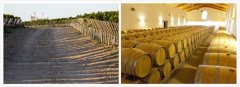 欧洲葡萄酒生产物流“停摆”，小进口商或承