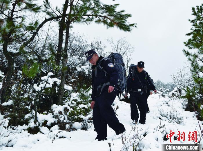 疫情防控期间 云南侦办野生动物案件2909起